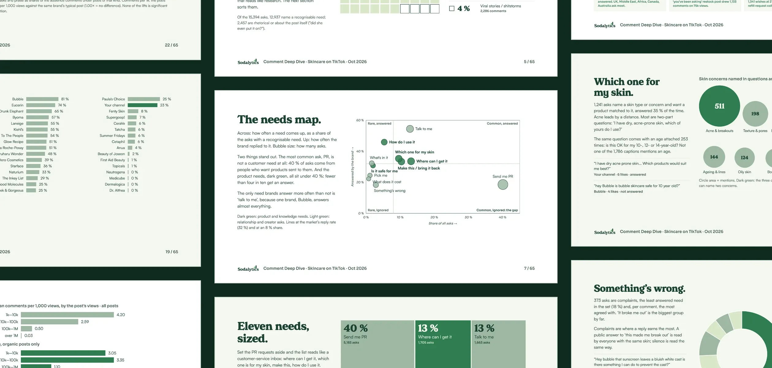 Collage of pages from the example Comment Deep Dive on skincare: the needs map in the middle, with what a comment section is made of, the eleven needs sized, who answers, bought reach, skin concerns and complaints around it.